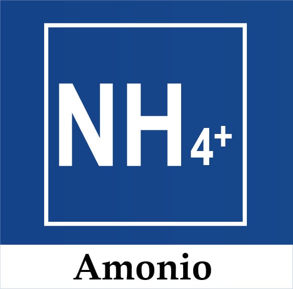 Amonio