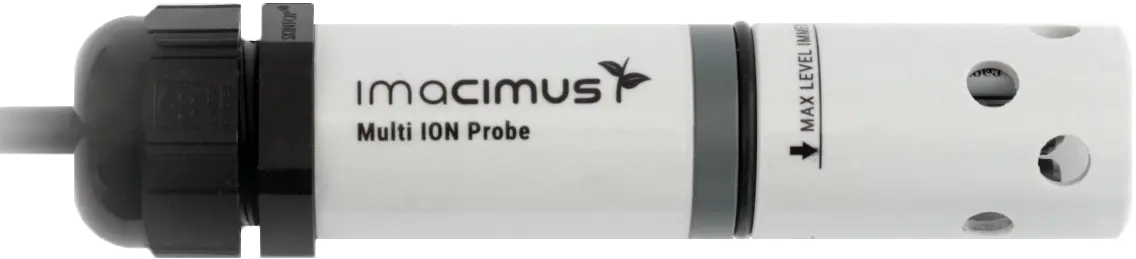 Multi-ion probe